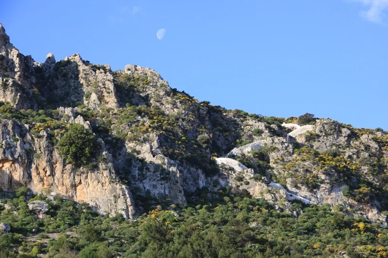 Moon rising