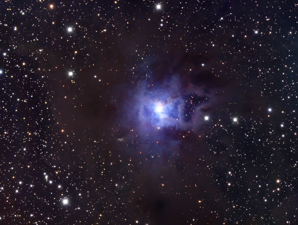 NGC 7023-Iris Nebula
