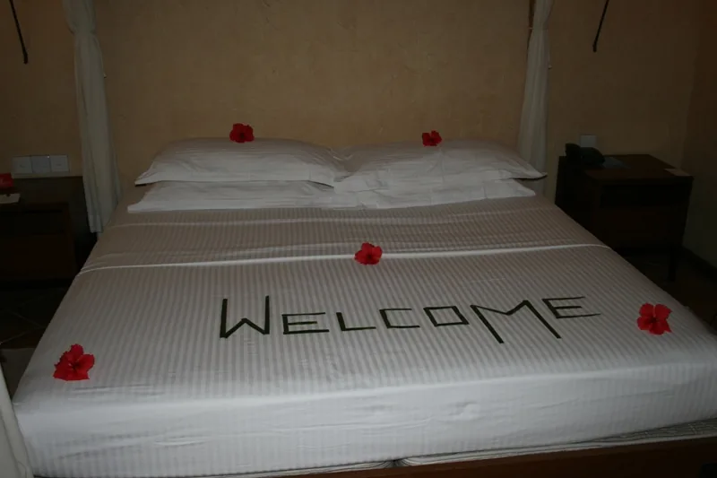 Welcome