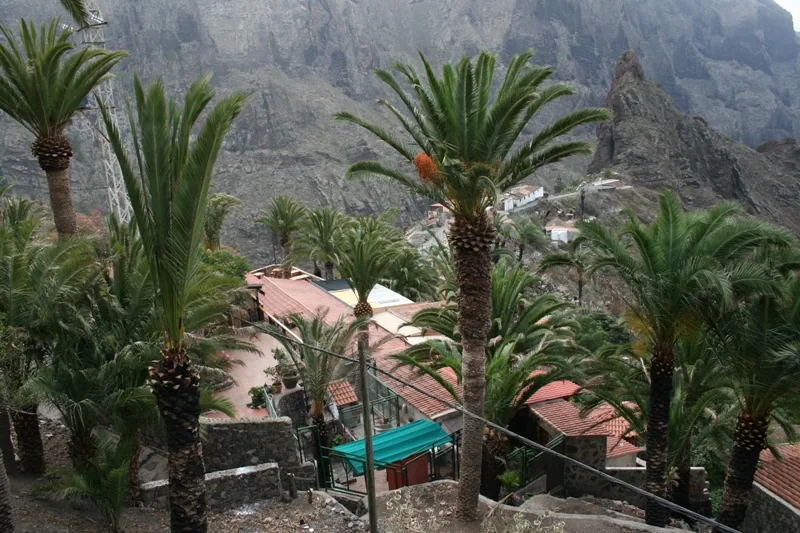 Masca